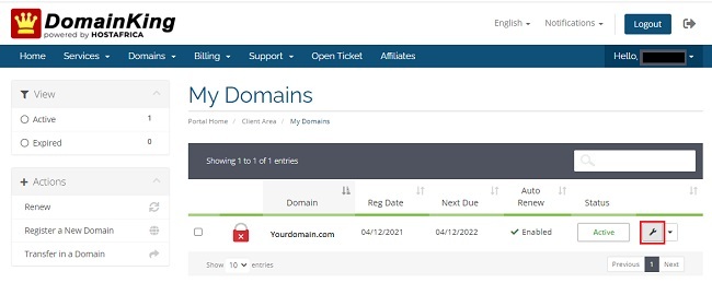 Manage Domains in DomainKing.NG client panel