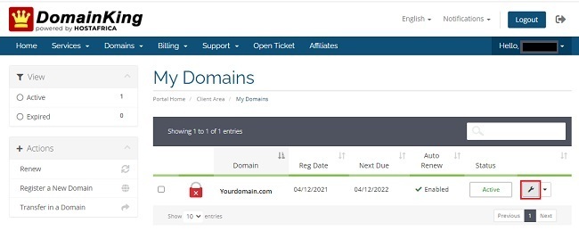 Click on Manage Domains icon in DomainKing.NG client panel