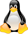 Websites hosted on US Based Linux Servers