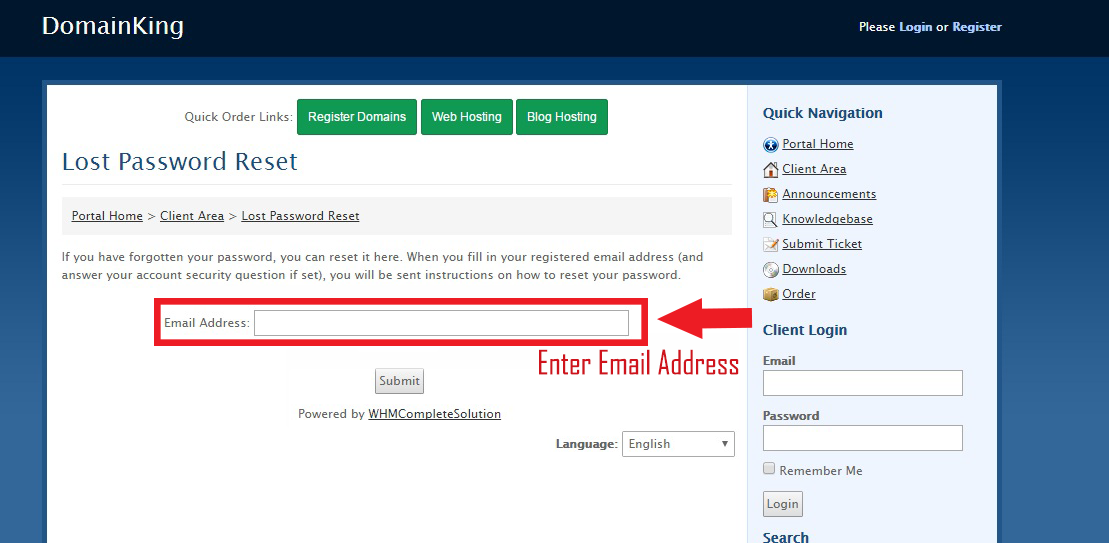 Enter Email Address DomainKing.NG
