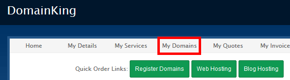 My Domains in DomainKing.NG client panel