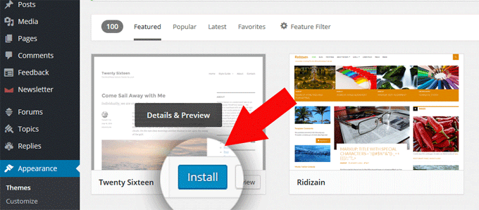 Click Install to install your WordPress theme